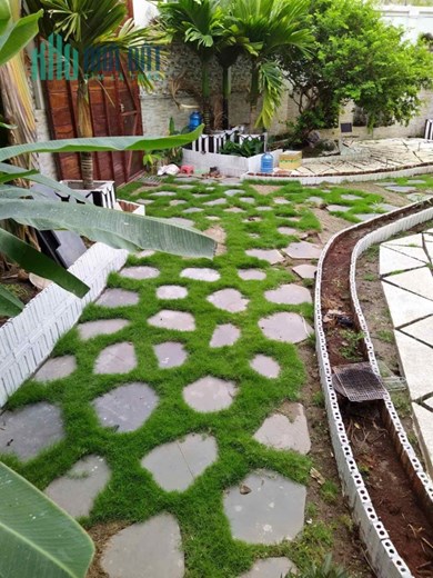 BIỆT THỰ SÂN VƯỜN AN PHÚ ĐÔNG- 4 TẦNG- GIÁ NHỎ