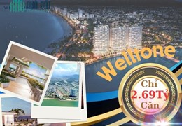 Danh mục chi tiết phần sở hữu chung Welltone Luxury Residence