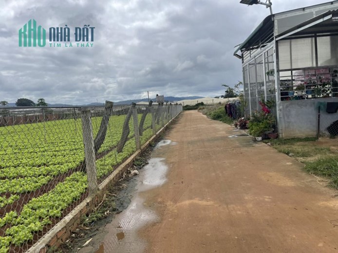Hãy trở thành nhà đầu tư thông minh ngay hôm nay với lô đất ở Ka Đô siêu rẻ đẹp