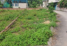 Lô góc 80,6m2 Thôn hòa lạc thuộc khuôn viên lotus, thôn linh sơn. Xã Bình Yên. Ngay sát quốc lộ 21