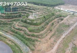 Cần bán đất trang trại tại Hòa Phú, Hòa Vang, Tp Đà Nẵng
