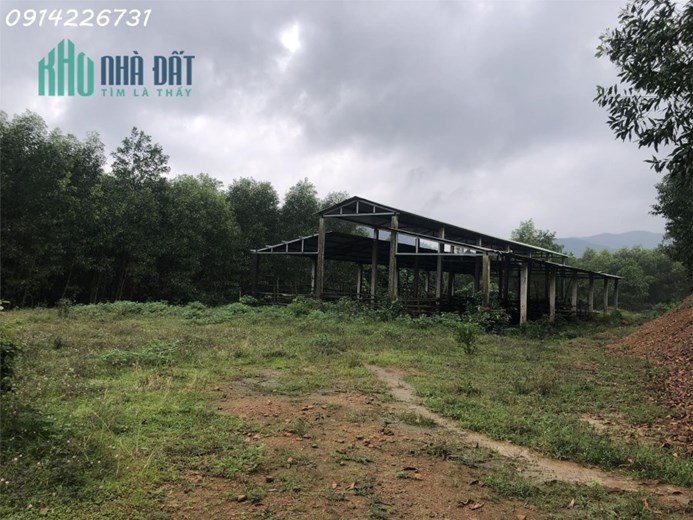 Cần bán đất trang trại tại Hòa Phú, Hòa Vang, Tp Đà Nẵng - Liên hệ: 0914226731