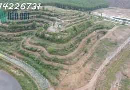 Cần bán đất trang trại tại Hòa Phú, Hòa Vang, Tp Đà Nẵng - Liên hệ: 0914226731