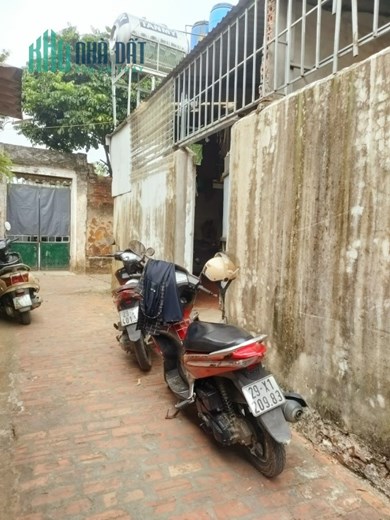 Chỉ hơn 1 tỷ xíu có ngay đất sẵn nhà cấp 4 mua về chỉ việc ở Diện tích 50m² tại Chúc Lý-Ngọc