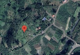 Chính chủ cần bán Lô Đất Thuộc Xã Quang Thuận - Huyện Bạch Thông - Bắc Kạn