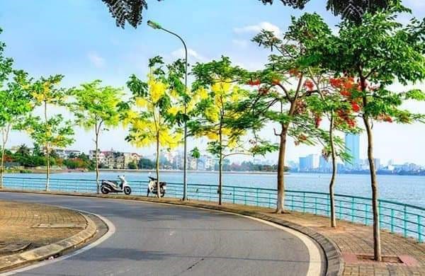Bán nhà Mặt Phố Võng Thị 96m2 x 8 tầng thang máy, vừa ở kết hợp cho thuê thì hái ra tiền + 3 tầng
