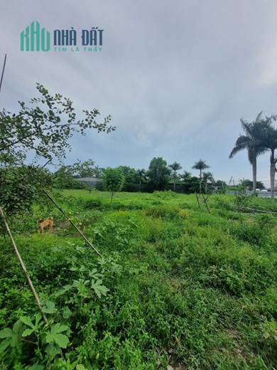 Bán nhanh lô Đất 6310m2, Mặt tiền Nguyễn Thị Thử - chợ Hóc Môn, 1 đời chủ bán,27  tỷ