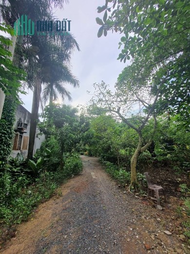 Bán nhanh lô Đất 6310m2, Mặt tiền Nguyễn Thị Thử - chợ Hóc Môn, 1 đời chủ bán,27  tỷ