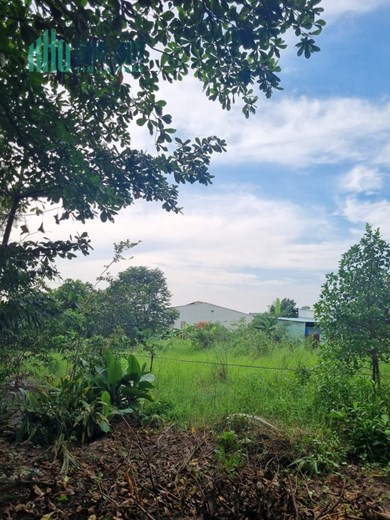 Bán nhanh lô Đất 6310m2, Mặt tiền Nguyễn Thị Thử - chợ Hóc Môn, 1 đời chủ bán,27  tỷ