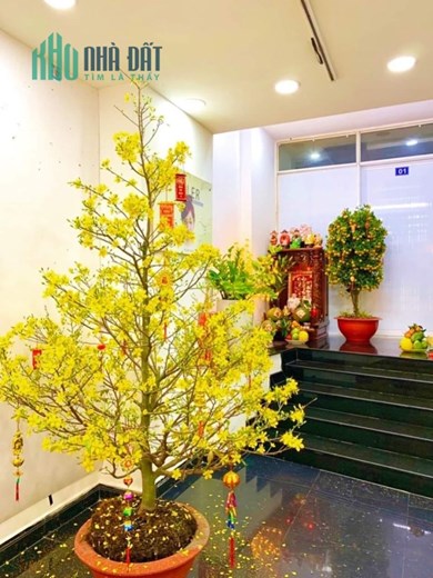 🌹ĐẸP ĐẰM THẮM  - BÁN NHÀ - LÊ HỒNG PHONG - Q.10 - 6 TẦNG - HXH 1 TRỤC - 54M2 - 9 T.Ỷ