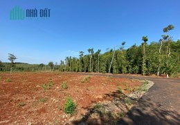 %%CHÍNH CHỦ CẦN BÁN LÔ ĐẤT VƯỜN Ở THỊ TRẤN NGÃI GIAO  - HUYỆN CHÂU ĐỨC – BÀ RỊA VŨNG TÀU.