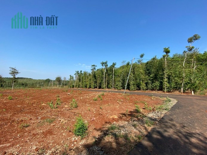 %%CHÍNH CHỦ CẦN BÁN LÔ ĐẤT VƯỜN Ở THỊ TRẤN NGÃI GIAO  - HUYỆN CHÂU ĐỨC – BÀ RỊA VŨNG TÀU.