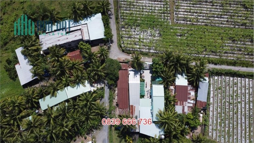 Đất 2 Mặt Tiền Hòa Thành - Hướng Nam Lý Tưởng