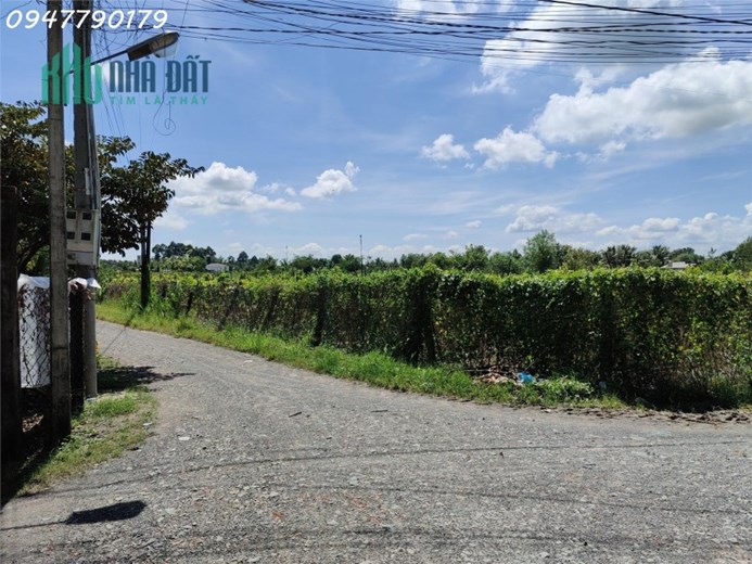 BDS Chỉ 879 Triệu - Hai trước mặt