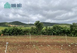 Đừng bỏ lỡ cơ hội đặt chân đến vùng đất đẹp này!