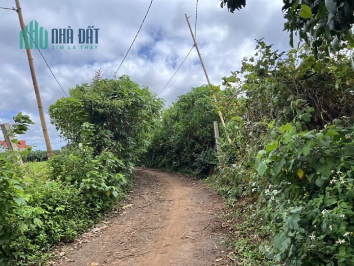 Đừng bỏ lỡ cơ hội đặt chân đến vùng đất đẹp này!