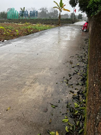 Giá chưa đến 3tr/m nằm giữa khu dân cư đường 6m khẩu hà nội .
Cấn bán nhanh lô đất nghỉ dưỡng 936m