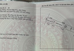 CHÍNH CHỦ CẦN BÁN LÔ ĐẤT XÃ THƯỜNG THẮNG - HIỆP HOÀ - TỈNH BẮC GIANG