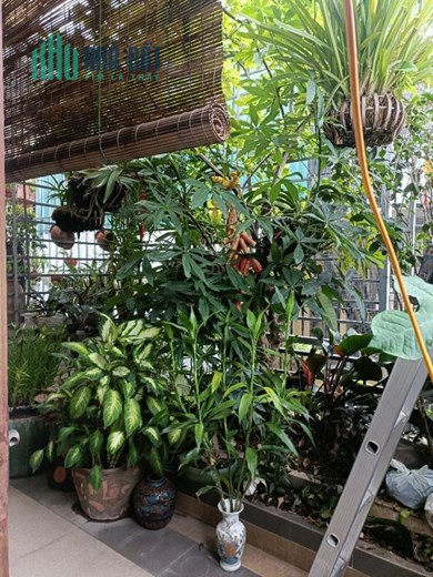 -NGHĨA DŨNG-HỒNG HÀ -YÊN PHỤ 
-NGÕ NÔNG - THÔNG - MỚI ĐẸP Ở LUÔN - 30m-4t- giá chỉ 4,7 tỷ