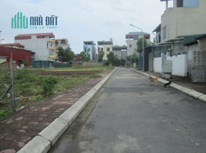 Tôi bán đất đấu giá Đại Áng cạnh Chợ Đám, MT 5m, 50m2 chỉ 2.89 tỷ. LH 0989.62.6116