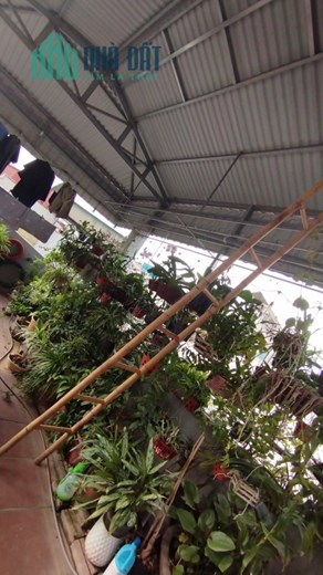 NHÀ ĐỘI CẤN DÂN XÂY 90M2*5M, 5 TẦNG THANG MÁY NHÀ CỰC ĐẸP, 3 MẶT THOÁNG, SIÊU RỘNG SIÊU RẺ, 11.8 TỶ