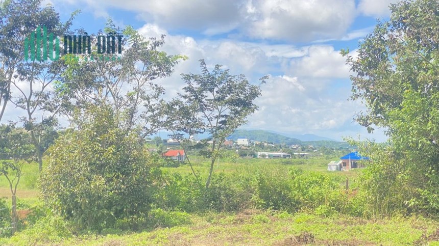 Đất hẻm oto nghĩa lâm, liên hiệp đức trọng chỉ 4,9 tỷ