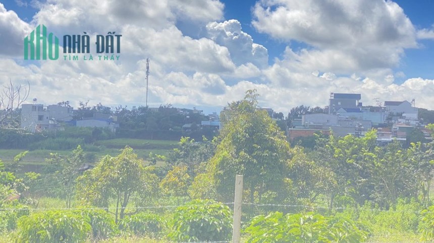 Đất hẻm oto nghĩa lâm, liên hiệp đức trọng chỉ 4,9 tỷ