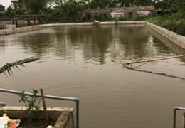 Cần Chuyển Nhượng Lô Đất Dự Án Đã Được Duyệt Sử Dụng Lâu Dài 45 Năm.