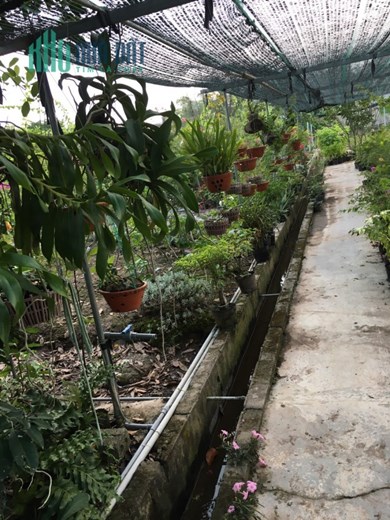 Cần Chuyển Nhượng Lô Đất Dự Án Đã Được Duyệt Sử Dụng Lâu Dài 45 Năm.