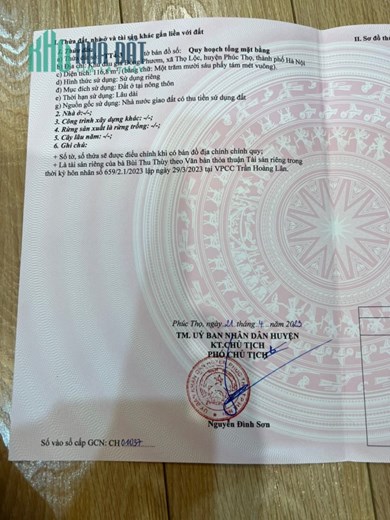 CHÍNH CHỦ KHÔNG QUA MÔI GIỚI BÁN 2 Ô ĐẤT ĐẤU GIÁ ĐỒNG PHƯƠM, XÃ THỌ LỘC, PHÚC THỌ, HÀ NỘI