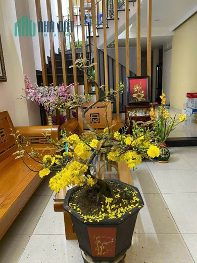 Bán nhà Nguyễn Oanh, Phường 17. DT 5x20m - T2 lầu giá 8.5 tỷ