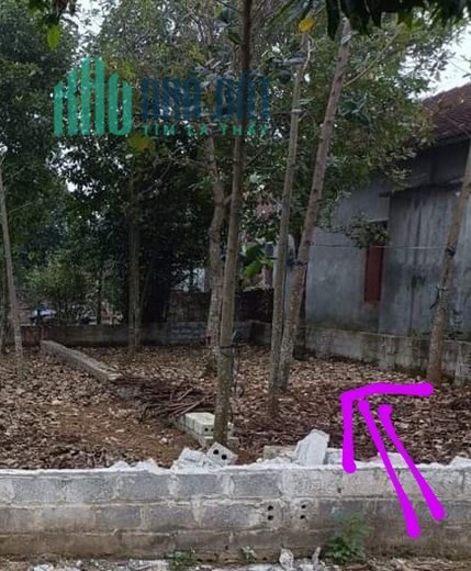 Cần bán  88m2 đất thôn 7 Tân Xã, Giá 1X triệu Đường thông oto tránh nhau. Đang rẻ hơn xung quanh