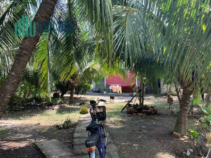 Chính Chủ Cần Bán Đất Giá Rẻ Siêu Đầu Tư.Ấp Phước Thới, xã An Phước