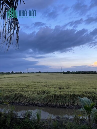 ĐẤT CHÍNH CHỦ - GIÁ TỐT - Duy Nhất Tại Ấp 1 Long Thạnh, Thủ Thừa - Long An