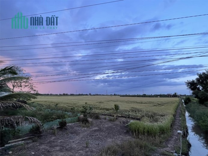 ĐẤT CHÍNH CHỦ - GIÁ TỐT - Duy Nhất Tại Ấp 1 Long Thạnh, Thủ Thừa - Long An