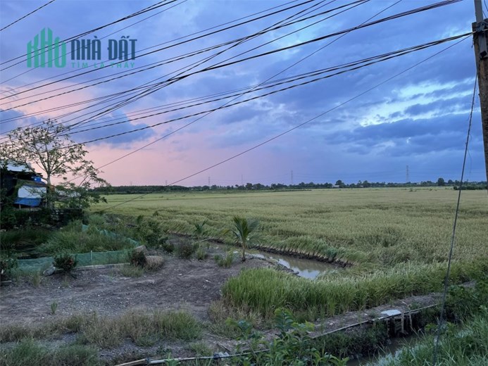 ĐẤT CHÍNH CHỦ - GIÁ TỐT - Duy Nhất Tại Ấp 1 Long Thạnh, Thủ Thừa - Long An