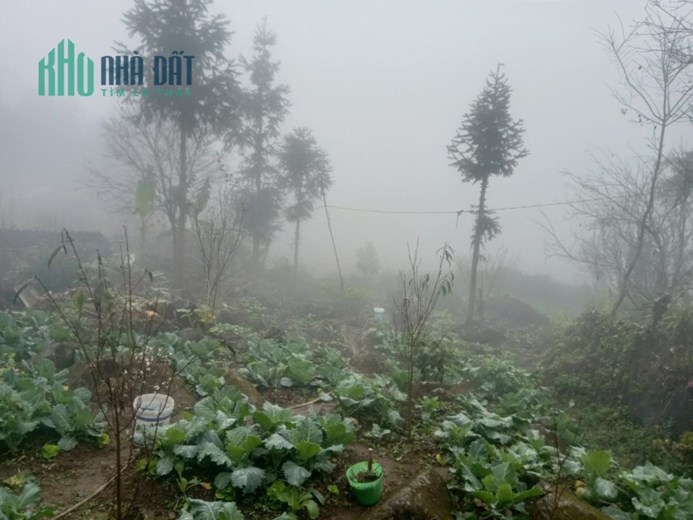 Đất nền Sapa khai thác du lịch đón sóng hoàn thiện cầu cạn cao nhất Việt Nam - cầu Móng Sến