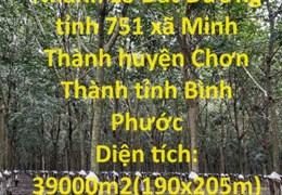 ĐẤT CHÍNH CHỦ - GIÁ TỐT - Cần Bán Nhanh Lô Đất Mặt Tiền Đẹp Trồng Cao Su Khu Công Nghiệp Becamex