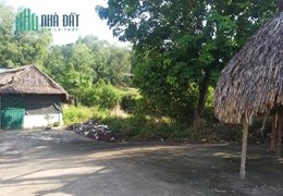 Bán 557m2 đất mặt tiền kinh doanh đường DT741, gần ngã tư giao nhau với cao tóc Mỹ Phước Tân Vạn,