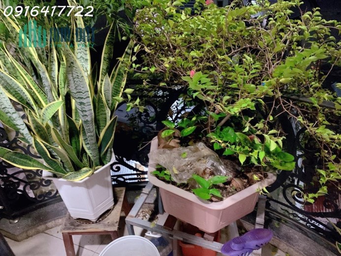 NHÀ ĐẸP LUNG LINH - HẺM XE HƠI - KHU PHÂN LÔ - NỞ HẬU TÀI LỘC - TẶNG NỘI THẤT XỊN XÒ - MAN THIỆN,