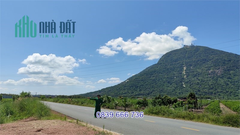 Ngập Tràn Tiện Ích: Đất Ngộp 86m x 65m, Giá Ưu Đãi