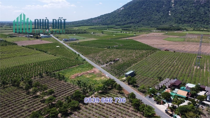 Đất Ngộp Siêu Rẻ: Cơ Hội Đầu Tư Kinh Doanh Lớn