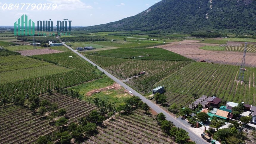 Gấp Đất Ngộp Giá Rẻ - View Đẹp, Tiện Ích Đầy Đủ!