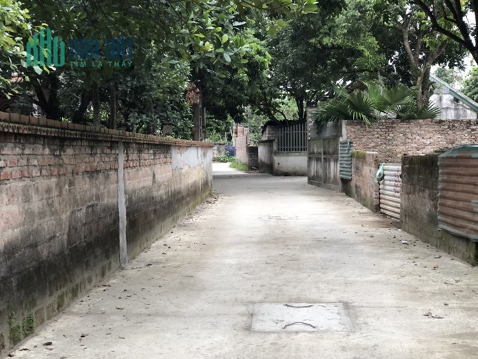 64m2 đất Phụng Châu, ngay chợ, đường thông ô tô chạy, giá 15tr/m2