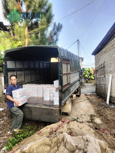 Bán dãy phòng trọ tại xóm 5 Trung Môn, Tuyên Quang cách đại học tân trào 450m! diện tích 724m2 giá