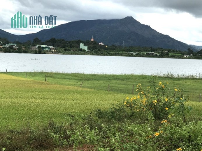 * CHÍNH CHỦ CẦN BÁN LÔ ĐẤT XÃ BIỂN HỒ - THÀNH PHỐ PLEIKU- TỈNH GIA LAI *
