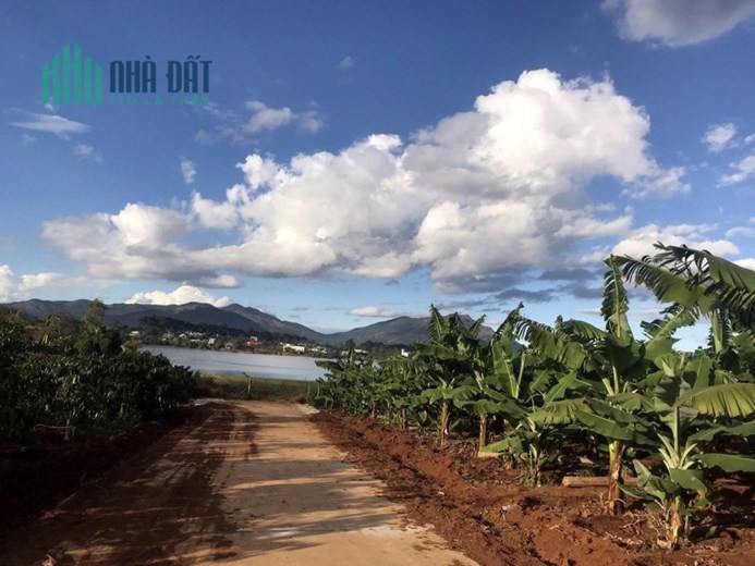 * CHÍNH CHỦ CẦN BÁN LÔ ĐẤT XÃ BIỂN HỒ - THÀNH PHỐ PLEIKU- TỈNH GIA LAI *