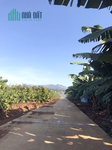 * CHÍNH CHỦ CẦN BÁN LÔ ĐẤT XÃ BIỂN HỒ - THÀNH PHỐ PLEIKU- TỈNH GIA LAI *