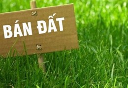 %%CHÍNH CHỦ CẦN BÁN LÔ ĐẤT Ở KHU 8 – PHƯỜNG VÂN PHÚ – VIỆT TRÌ – PHÚ THỌ.