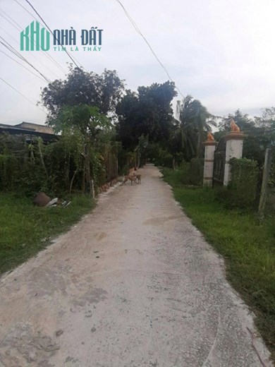 HOT HOT SỞ HỮU NGAY LÔ ĐẤT ĐẸP – GIÁ TỐT Tại Gò Dầu Tây Ninh